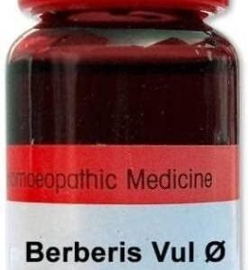 Dr. Reckeweg Berberis Vulgaris - Q - 20ml