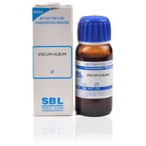 SBL Viscum Album 1X (Q) (30ml)