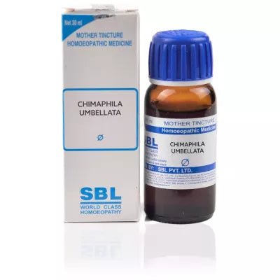 Chimaphila Umbellata 1X (Q) (30ml)