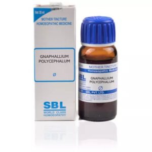 Gnaphallium Polycephalum 1X (Q) (30ml)
