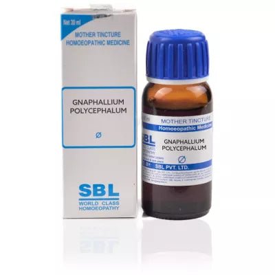 Gnaphallium Polycephalum 1X (Q) (30ml)