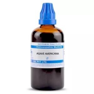 SBL Agave Americana Q - 100ml