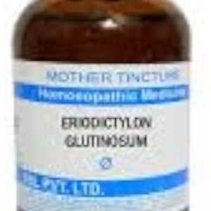 SBL Eriodictylon Gultinosum Q - 100ml