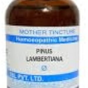 SBL Pinus Lambertiana Q - 100ml