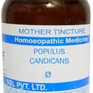 SBL Populas Candicans Q - 100ml