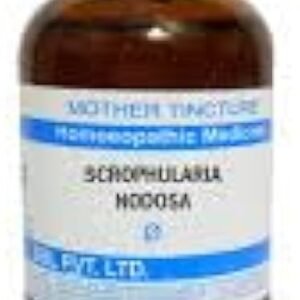SBL Scrophularia Nodosa Q - 100ml