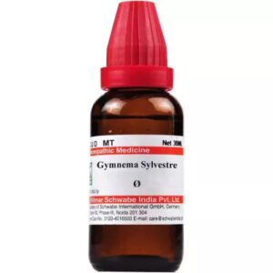 Willmar Schwabe India Gymnema Sylvestre 1X (Q) (30ml)