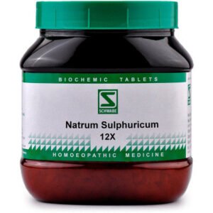 Willmar Schwabe India Natrum Sulphuricum 12X (550g)