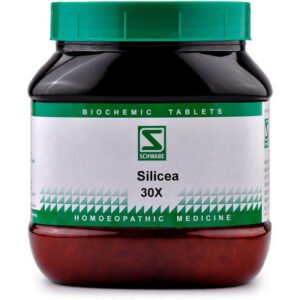 Willmar Schwabe India Silicea 30X (550g)