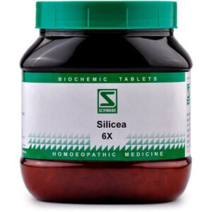 Willmar Schwabe India Silicea 6X (550g)