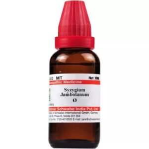 Willmar Schwabe India Syzygium Jambolanum 1X (Q) (30ml)